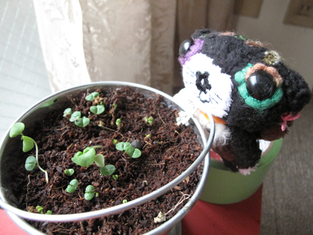 アンポンターンズトップページ